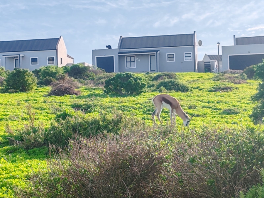 4 Bedroom Property for Sale in Hoogland Western Cape